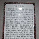 카페나들목