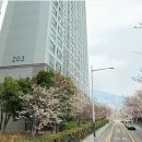 안락현대아파트경로당 | 부산시동래구안락동아파트경매/ 안락경동리인경매 32평형 1회유찰70% 준신축 온천천뷰예상 2024타경54531