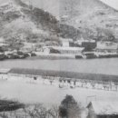 완도초등학교 앞 이미지