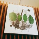 카페 바투(cafe 바투) 이미지