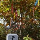 무릉도원면-9 이미지