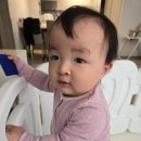 복덩이떡볶이 이미지