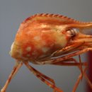 횟집도화 이미지