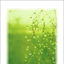 보석1로 이미지