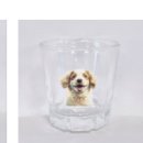 쇼미더펫 이미지