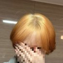 모이나 헤어 | 2026년 염색컬러 추천 해드려요. 체스넛 브라운으로 붉은기가 없어 차분한 이미지로 변신가능!