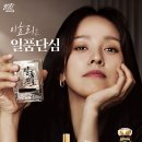 소주홀릭 이미지