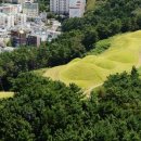 연산동고분군 이미지