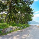 바다마루펜션 이미지