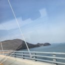 달려라 바우 | 달려라 바우바우 "고흥고객님" 배송후기