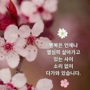 한국교원능력평가원