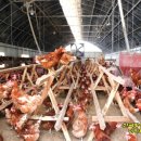 만수농장 이미지