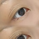 토이랜드 인형샵 | 원주 속눈썹펌 전문🫧 슬로우뷰티 찌르는 속눈썹 만족도 100% 속눈썹펌 후기