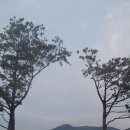 감노강변공원 이미지