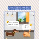 판교 행복한 동물병원 이미지