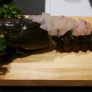 진참치수성점 네이버블로그