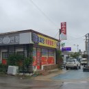반도반점 이미지