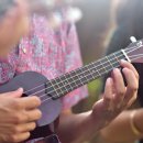 하와이 전통악기 우쿨렐레 이미지