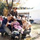 서리풀동물병원 이미지