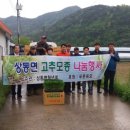 청년모종 이미지