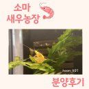 소마 새우농장 이미지