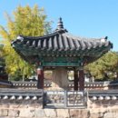 순천-77호 이미지