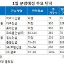 새해 첫달 아파트 분양시장 `가뭄` 이미지