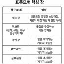 **Re: 스핀(spin)에 대한 보충 설명 이미지