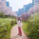 우시장천 이미지