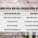 하천(안양대교) | 여의도 말고 여기! 1호선 타고 가는 안양천 벚꽃십리길, 금천구청역→구일역 4km 코스 완전 정리
