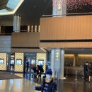 비스킷게임즈 | 서울신라호텔 비지니스디럭스룸 수영장 파크뷰 더라이브러리2박 후기