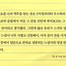 오후반차 이미지