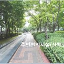 수지114 이미지