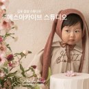 마디에스(S)한의원 | 두 돌 촬영 만족도 100%✨ 김포 에스아카이브 스튜디오 내돈내산 리얼 후기