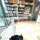 바라봄동물병원 이미지