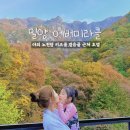 에버미라클호텔(주) | 밀양 얼음골 숙소 에버미라클호텔 키즈룸 후기/노천탕 찜질방 바베큐장