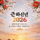 (주)나우렌트카 이미지