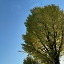 서동결혼상담소 | [광주 점집 / 철학관] 후기