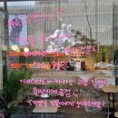 카페콤마도트