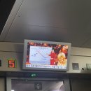 썸데이제로 | 2박3일 부산 [썸데이 페스티벌, 영진횟집, 해목, 양산왕돼지국밥, 초원복국, 꼬까자, 중앙횟집]