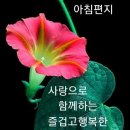 친정엄마의 교육방법 이미지