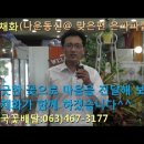 군산꽃집 수채화 전국꽃배달 이미지