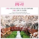 체리블라썸2
