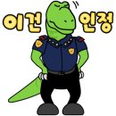 와우댄스핏