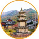 동곡터미널 | 경북 청도 운문사 단풍 구경 은행나무 개방 가을 단풍 명소 가볼만한곳