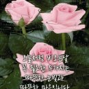 7월3일(수) 부산경상방 출석해요~~♡♡ 이미지