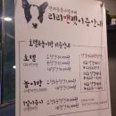 리리앤펫 네이버블로그