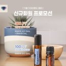 도테라더아로마하우스