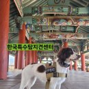 🏛️ 거제 기성관에서 문화재를 지킨 흰개미 탐지견, 봄이의 탐지 일지! 🐶🔍