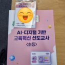 이야기가 있는 코딩 | AI 디지털 기반 교육혁신 선도교사 연수 후기 - 바이브 코딩 편